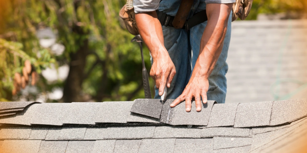 Imagen de Roof Repairs